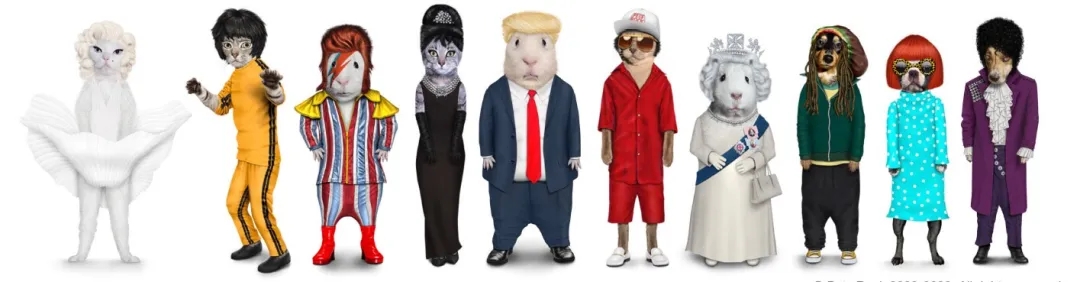 PETS ROCK 拟人化宠物